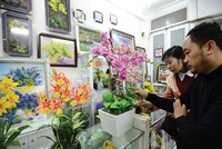 Hoa đất - thú chơi độc đáo ngày Tết