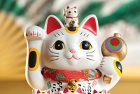 “Duyên” của mèo thần tài