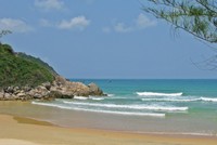 Nằm mộng với Vân Phong