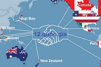 Cam kết của Việt Nam trong lĩnh vực ngân hàng tại Hiệp định Đối tác Xuyên Thái Bình Dương (và trong cả hiệp định thương mại tự do với EU) về cơ bản giống như cam kết đã có khi gia nhập WTO
