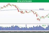 Nhà đầu tư ngắn hạn nên hạn chế mua đuổi 