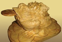 Bày cóc phong thủy, nhiều nhầm lẫn