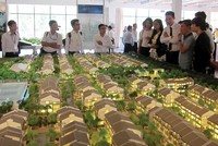 Hàng loạt dự án đất nền, biệt thự vùng ven Hà Nội được giới thiệu ra thị trường trong thời gian vừa qua. Ảnh: Trọng Tuyến