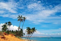 Gần 27.840 tỷ đồng xây 234 km cao tốc Nha Trang - Phan Thiết