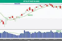 VN-Index có thể tăng lên vùng 600 - 620 điểm