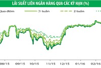 Trái phiếu chính phủ kỳ hạn 15 năm hút khách