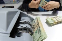 Nhà đầu tư không được sử dụng nguồn vốn vay ngoại tệ trong nước và nước ngoài để đầu tư gián tiếp ra nước ngoài