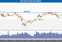 Vốn ngoại sẽ ở lại thị trường