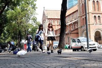 Mảnh đất biết níu người