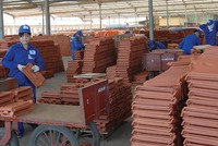 Nhờ chính sách kịp thời được cơ cấu lại thời hạn trả nợ nguồn vốn trung và dài hạn, được vay vốn lưu động mà CTCP Gạch gói Đất Việt đã hồi sinh.