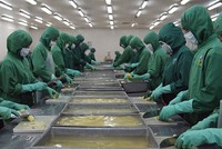 Phải có những người xứng đáng là “minh chủ” về tầm nhìn khi chỉ đạo làm luật