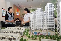 CEO HD Mon và triết lý “đại dương xanh”