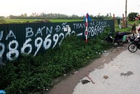 Dù đang có những lùm xùm, nhưng sản phẩm Dự án Thanh Hà - Cienco 5 Land vẫn được đẩy giá lên từng ngày với tiền chênh lên tới 500 triệu đồng/lô. Ảnh: Dũng Minh