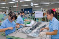 Vốn FDI vào TP. HCM sụt giảm 