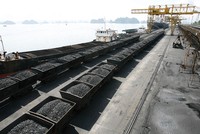 TC6 phát hành 19,49 triệu cổ phiếu thưởng tỷ lệ 150%