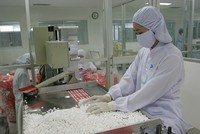 5 tháng, IMP chỉ hoàn thành 28% kế hoạch lợi nhuận năm