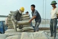 6 tháng đầu năm, VICEM tiêu thụ 9 triệu tấn xi măng và 2 triệu tấn clinker. Ảnh: Lê Toàn