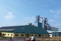 Câu chuyện “bán bia kèm lạc” khi cổ phần hóa Vinapaco đã được tính tới nhằm thanh lý Nhà máy Bột giấy Phương Nam.