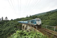 Ngành đường sắt bị cạnh tranh rất gay gắt trong những năm gần đây khiến kinh doanh giảm sút mạnh.