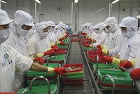 Minh Phú đã được “minh oan”, không bán phá giá tôm