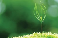 Phát triển bền vững là vấn đề thuộc về đạo đức kinh doanh, mà đã là đạo đức, thì còn cao hơn cả pháp luật