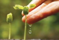 Thực hiện phát triển bền vững: Cam kết của lãnh đạo là một nửa thành công!