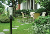 Những điểm cần lưu ý về phong thủy khi trồng cây xanh quanh nhà