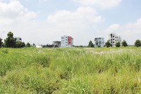 Doanh nghiệp địa ốc hững hờ với nhiều khu “đất vàng” được Thành phố tổ chức đấu giá. Ảnh: Gia Huy