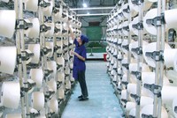 Việc cổ đông lớn - Tổng CTCP Phong Phú ấn định việc sáp nhập công ty con PHH đã gây bức xúc cho cổ đông nhỏ doanh nghiệp này