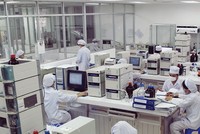 6 tháng, lợi nhuận DHG giảm 22,3%