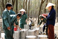 Doanh nghiệp sản xuất lạc quan với lợi nhuận quý III