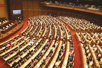 Người dân đang chờ đợi các cơ quan có thẩm quyền thể hiện quyết tâm xây dựng bộ máy trong sạch, liêm chính, phục vụ	ảnh: đức thanh