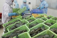 Xuất khẩu thủy sản lo “đói” nguyên liệu