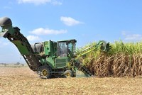 Nghiên cứu giống mía, trồng mía công nghệ cao, thu hoạch bằng cơ giới hóa đang là một trong những mục tiêu mà Khu Nông nghiệp ứng dụng công nghệ cao Phú Yên hướng tới.