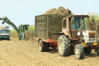 Ngày 3/11, SCIC sẽ bán đấu giá hơn 28 ngàn cổ phiếu Mía đường Thanh Hóa, tương đương 28,43% vốn điều lệ, với giá khởi điểm 569.000 đồng/CP (mệnh giá 100.000 đồng/CP)
