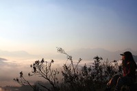 Y Tý - Mùa săn mây