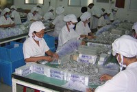 Quý III, DCL lãi ròng 13,3 tỷ đồng