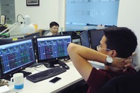 Nhà đầu tư Việt Nam khá bảo thủ, nên với các sản phẩm mới, trong thời gian ban đầu họ thường ít quan tâm