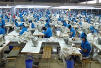 TNG: Doanh thu quý III/2016 giảm, lợi nhuận tăng