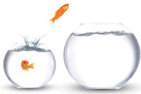 Đồ Họa: Ngọc Tuấn