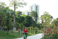 Hiện nay, nhiều doanh nghiệp đã chú ý đến yếu tố xanh khi phát triển các dự án bất động sản. Ảnh: Dũng Minh