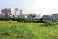 TP.HCM điều tra, đánh giá đất đai giai đoạn 2016-2020