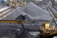 Cơ điện Uông Bí- Vinacomin (UEM): Vinacomin đấu giá toàn bộ hơn 35% cổ phần, giá khởi điểm 38.400 đồng/CP