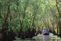 Du Xuân trên hành trình sông nước miền Tây