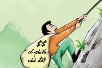 Năm Đinh Dậu, chứng khoán và bất động sản dắt tay nhau thăng hoa