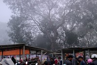 Chợ Nủa nằm trên một khu đất trống thuộc xã Bình Phú (Thạch Thất, Hà Nội) vẫn mang đậm dáng dấp của chợ phiên truyền thống vùng đồng bằng Bắc Bộ.