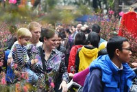 Nhiều du khách chọn du lịch Việt Nam vào dịp Tết Nguyên đán. Ảnh: Dtinews.