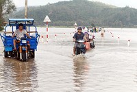 Mưa kéo dài khiến nước lũ dâng lên ở Phú Yên ngày cận tết. Ảnh: K.N