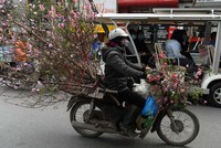 Hình ảnh người dân Châu Á náo nức chuẩn bị đón Tết Đinh Dậu