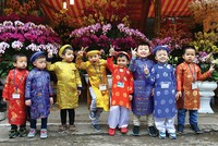 Tại sao bảo hiểm không “đắt khách” dịp Tết?